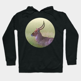 Waterbuck Hoodie